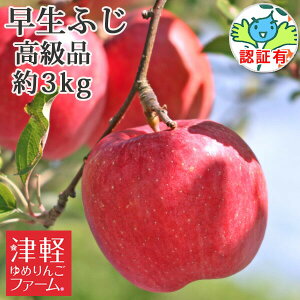 9/30܂Ń|Cg3{Iyz ӂiЂ낳ӂEق̂j i 3kg(8-11) FؗL Xʍ͔|_YF؎擾 I XYь OOY p Mtg  j 
