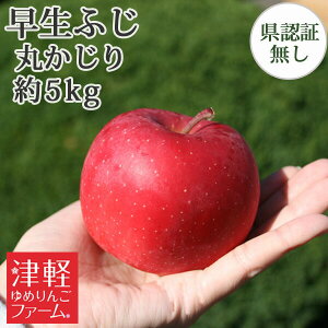 yz ӂiЂ낳ӂEق̂j ۂiGiEʁj 5kg(20-28) Fؖ  HׂTCY XYь p Mtg  j a v[gɂ 