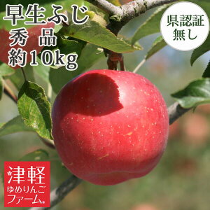 9/30܂Ń|Cg3{Iyz ӂiЂ낳ӂEق̂j Gi 10kgi28-40) Fؖ Yn XYь OO  p Mtg  j a v[gɂ 
