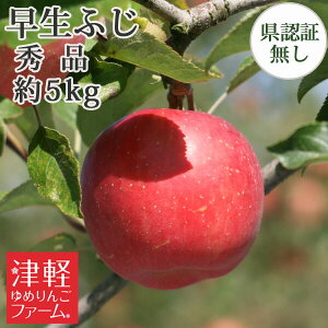 9/30܂Ń|Cg3{Iyz ӂiЂ낳ӂEق̂j Gi 5kgi14-20) Fؖ Yn XYь OO  p Mtg  j a v[gɂ 