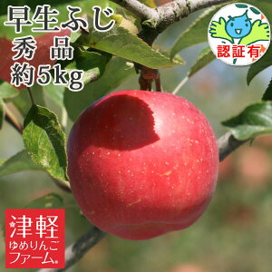9/30܂Ń|Cg3{Iyz ӂiЂ낳ӂEق̂j Gi 5kg(14-20j FؗL Xʍ͔|_YF؎擾 Yn XYь OO  p Mtg 