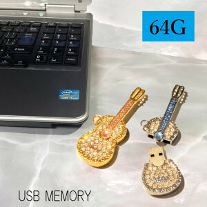 �o�C�I���� USB������ 64G �L���L�� �X�g�[�� ���� ������� �v���[���g USB �ʐ^ �摜 ���� �ۑ� pc �p�\�R�� �������[�J�[�h �l�b�N���X �L�[�z���_�[
