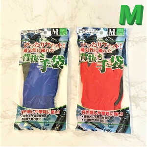 ҂Fit ɂ jgSw܁iMj S R  ~ | H DIY