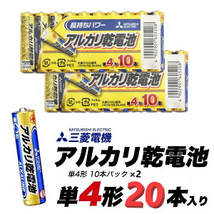 20�{�p�b�N �O�H�d�@ �A���J�����d�r �P4�`�iAAA�j ���~ �h�Зp�ɂ� �d�r ���d�r ���� �|�C���g����