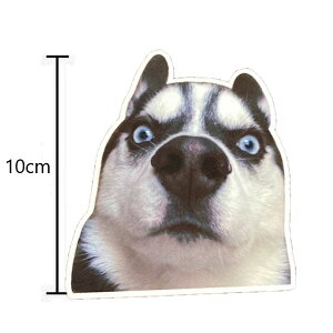 AIXebJ[X y nXL[ zh Ǐ ǎ ͂V[ DIY  Ƌ gC fR X[cP[X Ȃǂ