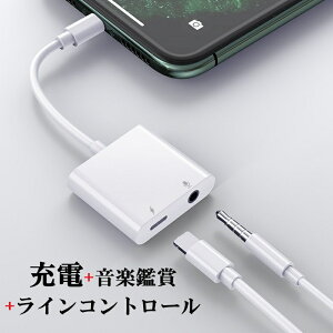 2in1 CgjO iPhone/iPadΉ ϊvO 3.5mm ϊA_v^[ CzWbNA_v^[ AiOڑ [d|[gt [d+yӏ+