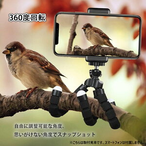 tLVu ^Or JOr X}zOr 1/4lWΉ 360x] B Or ~jOr X}z fWJ rfIJ vWFN^[