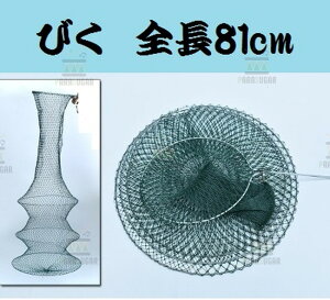 XJ S81cm rN ޖ  ދ ނ ޗpi т   G