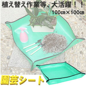 |V[g LTCY 100x100 80x80 h V[g  Aւ K[fjOg[ K[fjOV[g d Aւ