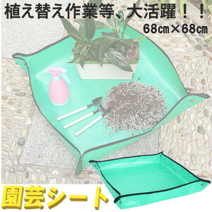|V[g MTCY 68x68 50x50 h V[g  Aւ K[fjOg[ K[fjOV[g d Aւ