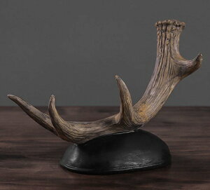 ̊p tFCN@C{g C {gu {gX^