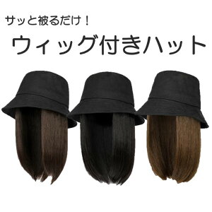 EBbOtnbg EBbO / 3J[ nbgubN ~fBAwA[ C`F F`FW RXv wAlbgsv n470