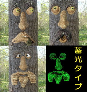 c[tFCX ~^Cv X^[c[ ؂̊ I[ig ؂̏  | K[f IuWF t@^W[ n916