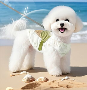 hbOEFA |Pbgt t 2F 5TCY   ^ ^ m 