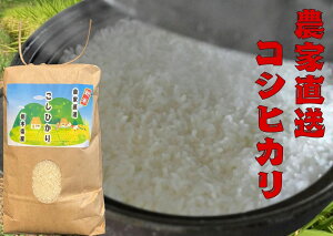 _ƒ ߘa7NxV Ȗ،YRVqJ10kg(5kg×2) 