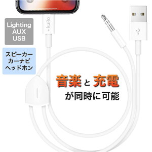 y|Cg2{ }\ziPhone p AUX P[u  y L [d J[I[fBI USBP[u [dȂ ϊ I[fBIP[u J[ir AUX[q CgjOP[u Ligh