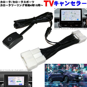 V^ J[ c[O J[X|[c ߘa4N10` 8C` 10.5C` fBXvCI[fBI erLbg RlNeBbhirΉ ^] TV  ir erLZ[ 