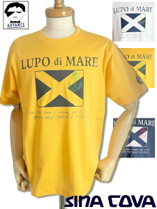 y\bNXv[gtFAzViRo St sina cova ViRoV TVc Vt 傢 傫TCY Y sinacova 傢 StEFA bsOyzy