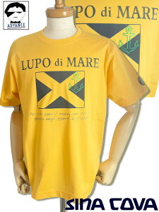 y\bNXv[gtFAzViRo St sina cova ViRoV TVc Vt 傢 傫TCY Y sinacova 傢 StEFA bsOyzy