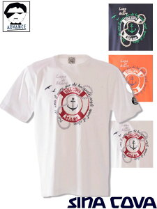 ViRo St sina cova 2025Vt TVc 傢 傫TCY Y sinacova 傢  } uh bsOyzy񂹉z̍݌ɂ