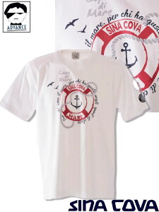 ViRo St sina cova 2025Vt TVc 傢 傫TCY Y sinacova 傢  } uh bsOyzy񂹉z̍݌ɂ