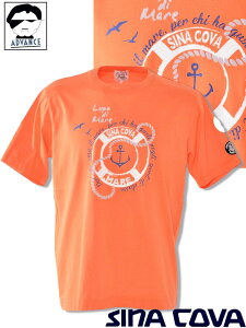 ViRo St sina cova 2025Vt TVc 傢 傫TCY Y sinacova 傢  } uh bsOyzy񂹉z̍݌ɂ