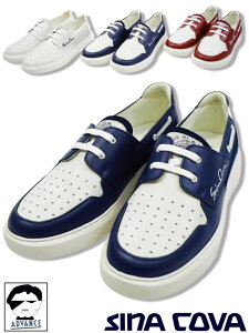 y\bNXv[gtFAzViRo St sina cova ViRoV 2025Vt Xj[J[ 傢 Y sinacova 傢 }uh Lve bsOyzy