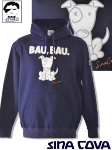 y\bNXv[gtFAzViRo St sina cova 2025Vt g[i[ 傢 傫TCY Y StEFA sinacova 傢  bsOyzy