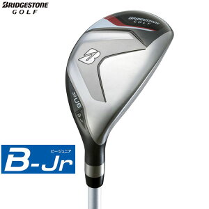 yWjApzBRIDGESTONE -uaXg- B-Jr [eBeB[iU6j 2024Nf B-JrIWiVtg BJ-Wr[WjA Type150