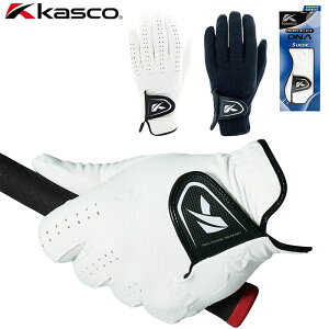 yꕔ[OKzKASCO DNA SUEDEijStO[uySF-2010i4526jz -LXR DNAXG[h O[u-