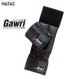 HATAS -秦（はた）運動具- Gawri（ガウリ） アンクルウエイト 500g（2個セット）【25W5002】