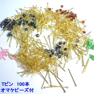 ANZT[p[c  Ts 0D5×20mm F S[h 100{ (7g) `FRr[Y 10  Xg[g r[Y 70 ̃I}Pt ANZT[p[c