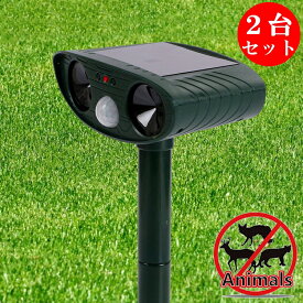 楽天市場 猫 が 嫌がる 音の通販