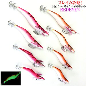  CJGM 25 ` 4  2F 8{ SET REDEYE Ԗ GM CJނpi ނ ySSz
