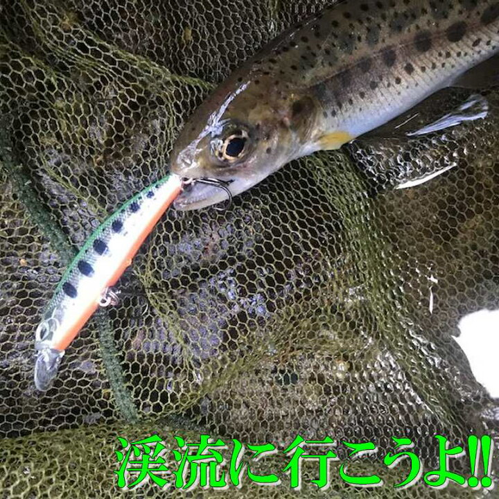 楽天市場 トラウトルアー 飛ぶ 慣性スライドで誘う シンキングミノーm45f 50mm5g ゴールドヤマメ 渓流 本流 管理釣り場 ヤマメ アマゴ イワナ ニジマス トラウト 源流 アドバンスワークス Select