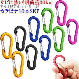 海で使っても錆びない 耐荷重30kg 50mm 強靭 アルミ カラビナ 5色 10個セット アルマイト仕上げ 10本 キーホルダー おしゃれ アウトドア キャンプ Dリング ボトルホルダー 鍵 ホルダー キーチェーン キーリング キャンプ スプリングフック トレッキング 落下防止【SS】
