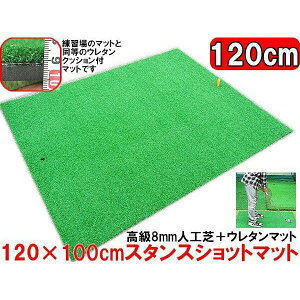  St Kp X^X & Vbg}bg 100cm×120cm  lH dl VbgP[Wł̃eBVbgK!