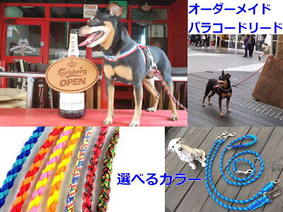 楽天市場 犬のリード ファンクションリード パラコードペット用品 職人手作り パラシュートコード8m利用 ウエストリード しつけ 犬 首輪 パラコード 散歩 犬用 カジュアル おしゃれ カラフル カラー 訓練 トレーニング ハンドメイドドッグリード ご希望で長さ変更可能