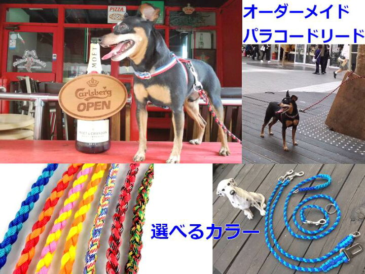 楽天市場 犬のリード ファンクションリード パラコードペット用品 職人手作り パラシュートコード8m利用 ウエストリード しつけ 犬 首輪 パラコード 散歩 犬用 カジュアル おしゃれ カラフル カラー 訓練 トレーニング ハンドメイドドッグリード ご希望で長さ変更可能 楽天市場 犬のリード ファンクションリード パラコードペット用品 職人手作り パラシュートコード8m利用 ウエストリード しつけ 犬 首輪 パラコード 散歩 犬用 カジュアル おしゃれ カラフル カラー 訓練 トレーニング ハンドメイドドッグリード ご希望で長さ変更可能