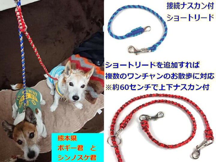 楽天市場 犬のリード ファンクションリード パラコードペット用品 職人手作り パラシュートコード8m利用 ウエストリード しつけ 犬 首輪 パラコード 散歩 犬用 カジュアル おしゃれ カラフル カラー 訓練 トレーニング ハンドメイドドッグリード ご希望で長さ変更可能