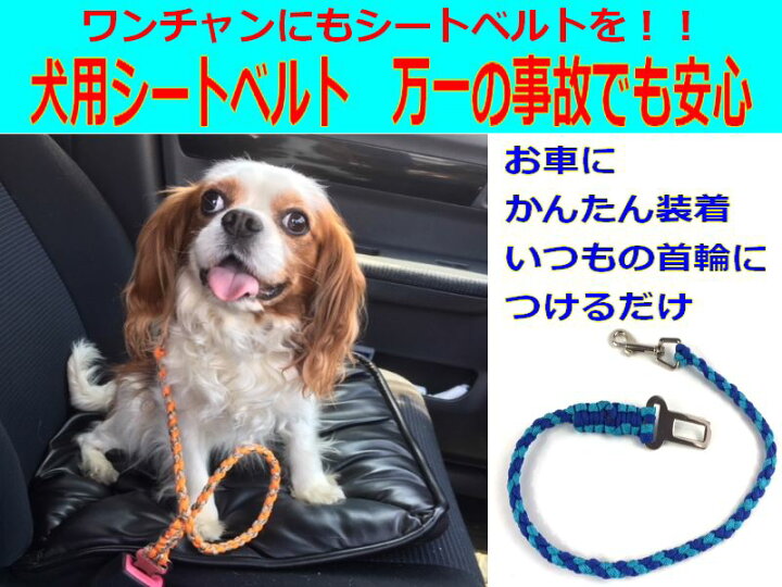 楽天市場 犬のリード ファンクションリード パラコードペット用品 職人手作り パラシュートコード8m利用 ウエストリード しつけ 犬 首輪 パラコード 散歩 犬用 カジュアル おしゃれ カラフル カラー 訓練 トレーニング ハンドメイドドッグリード ご希望で長さ変更可能