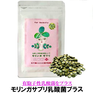 y VK zK Tv _ۃvX 240 60g (0.25g×240jVRn[u MORINNGA A~m_ 14000mg YKgp LEq_ NX-S 60̓_ _sgp w엿s