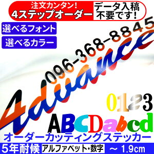 񂽂 I[_[ JbeBO XebJ[ ŏ4mm 19mm̏ȕ 1170~  ؂蕶 V[  p At@xbg  y p tHg 30ނI z FI IW