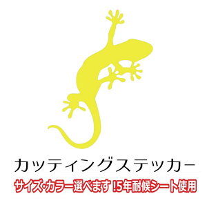 QbR[  XebJ[ GxTCY J[ gecko 킢  V[ JbeBO AEghA h  oCN wbg Xm[{[h B  yV ʔ