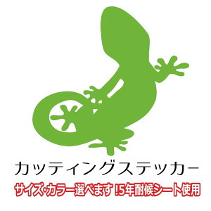 QbR[  XebJ[ GxTCY J[ gecko 킢  V[ JbeBO AEghA h  oCN wbg Xm[{[h B  yV ʔ