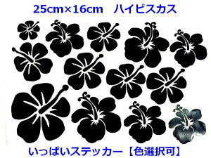 nCrXJX@25×16Z`ɂՂXebJ[ T[t@[AEghAh FI\ ܂t