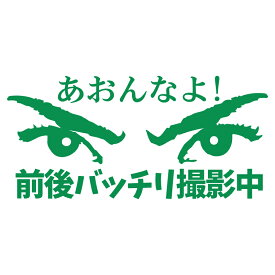 あおんなよ　前後バッチリ撮影中 のステッカー　交通安全に　カッティングステッカー【緑】【ドラレコ搭載車アピールで交通安全】横約18センチステッカー　おまけ付 あおり運転防止 安全運転 安心走行 お守りに