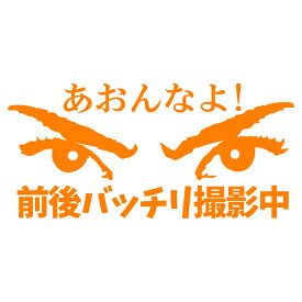 あおんなよ　前後バッチリ撮影中 のステッカー　交通安全に　カッティングステッカー【オレンジ】【ドラレコ搭載車アピールで交通安全】横約18センチステッカー　おまけ付 あおり運転防止 安全運転 安心走行 お守りに