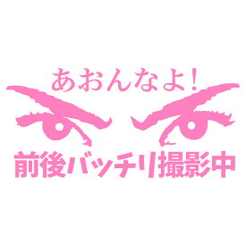 あおんなよ　前後バッチリ撮影中 のステッカー　交通安全に　カッティングステッカー【ピンク】【ドラレコ搭載車アピールで交通安全】横約18センチステッカー　おまけ付 あおり運転防止 安全運転 安心走行 お守りに