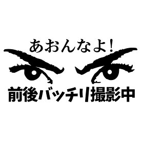 あおんなよ　前後バッチリ撮影中 のステッカー　交通安全に　カッティングステッカー【黒】【ドラレコ搭載車アピールで交通安全】横約18センチステッカー　おまけ付 あおり運転防止 安全運転 安心走行 お守りに